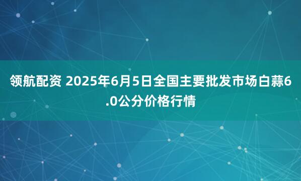 领航配资 2025年6月5日全国主要批发市场白蒜6.0公分价格行情