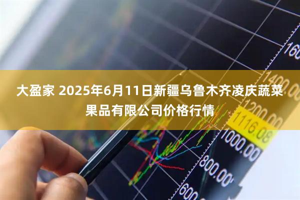 大盈家 2025年6月11日新疆乌鲁木齐凌庆蔬菜果品有限公司价格行情