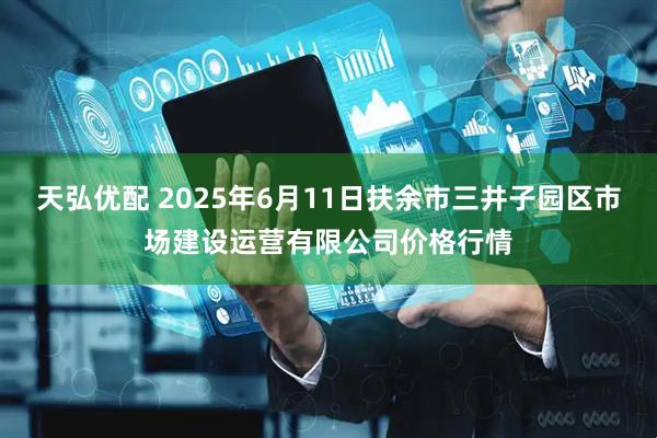 天弘优配 2025年6月11日扶余市三井子园区市场建设运营有限公司价格行情