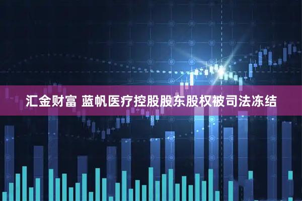 汇金财富 蓝帆医疗控股股东股权被司法冻结