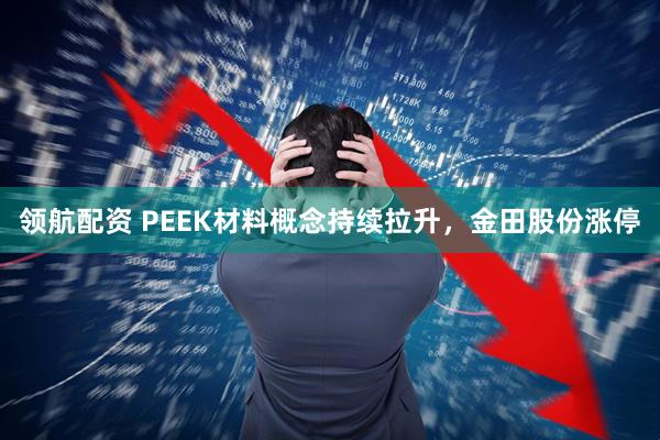 领航配资 PEEK材料概念持续拉升，金田股份涨停